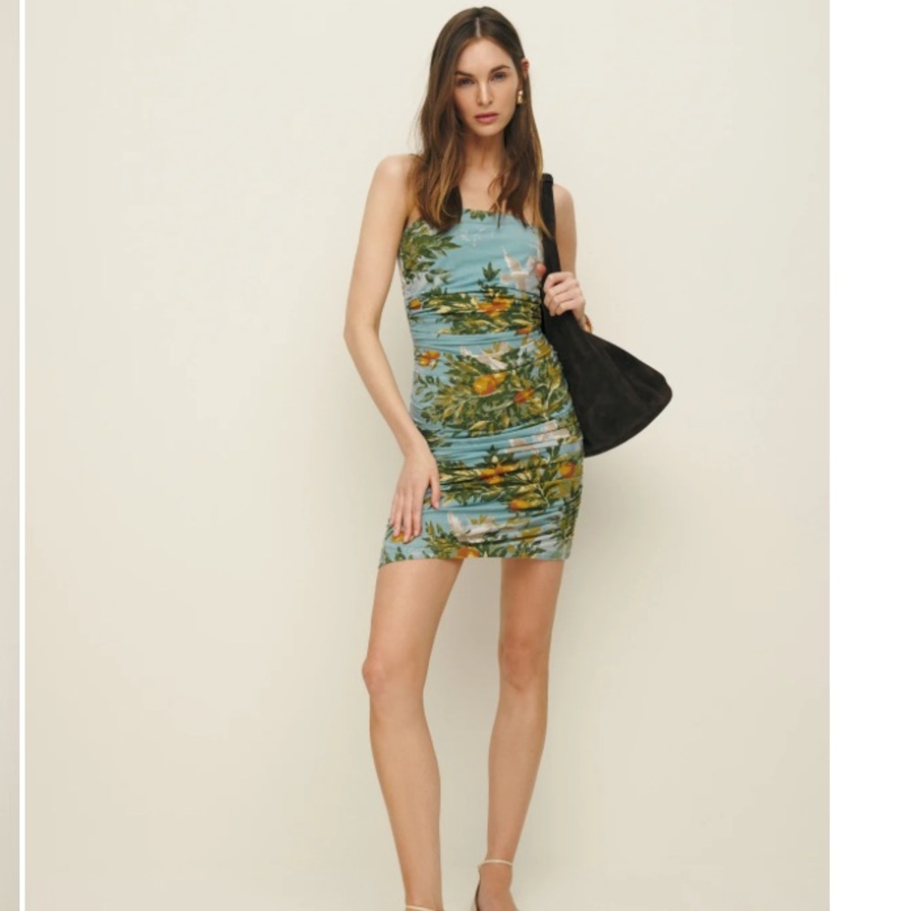 NWT Reformation Prunella Dress